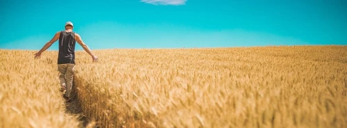 Sprawdzone pomysły na prezent dla rolnika